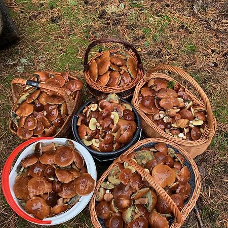 別荘 Monti Caloroczne