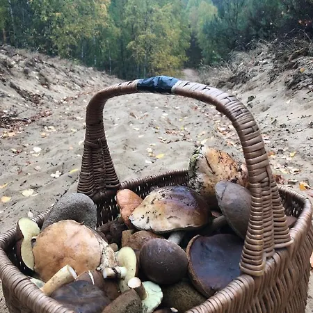 Monti Caloroczne 別荘 *