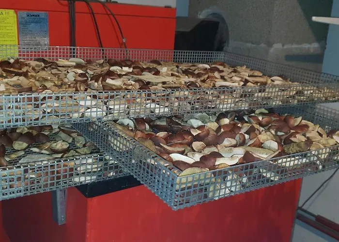 בית נופש Monti Caloroczne